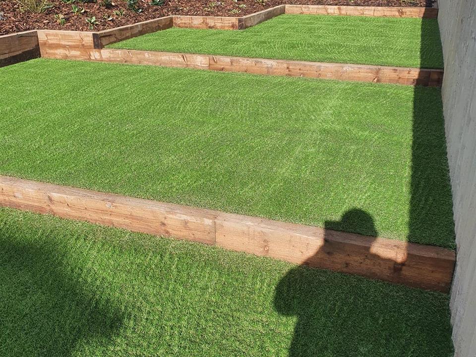 Ash Landscapes