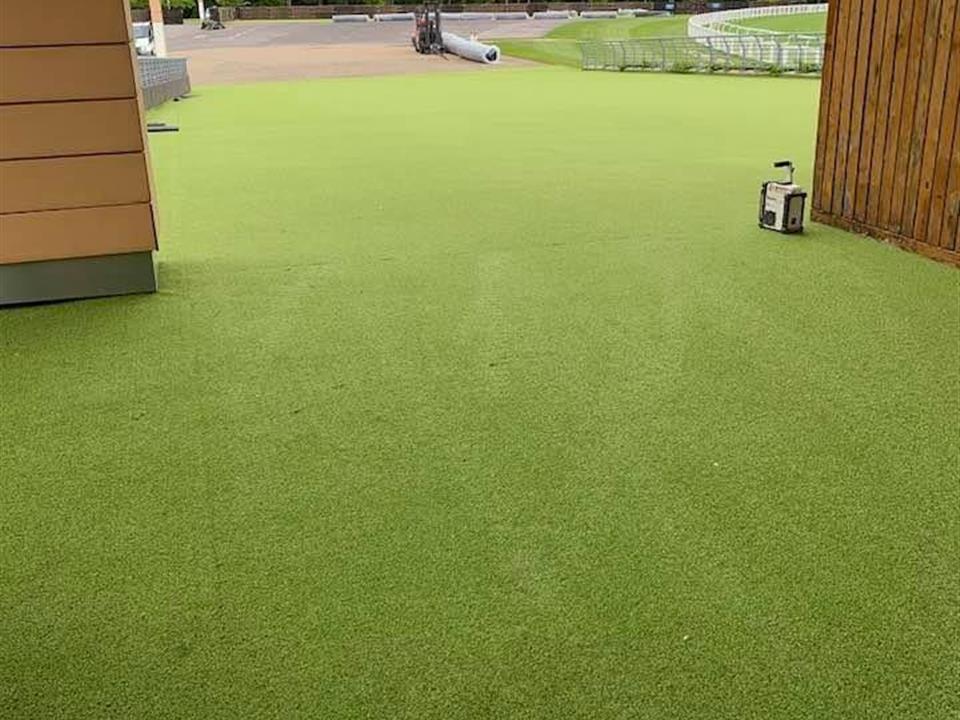 Super Verdegrass - Ascot Racecourse