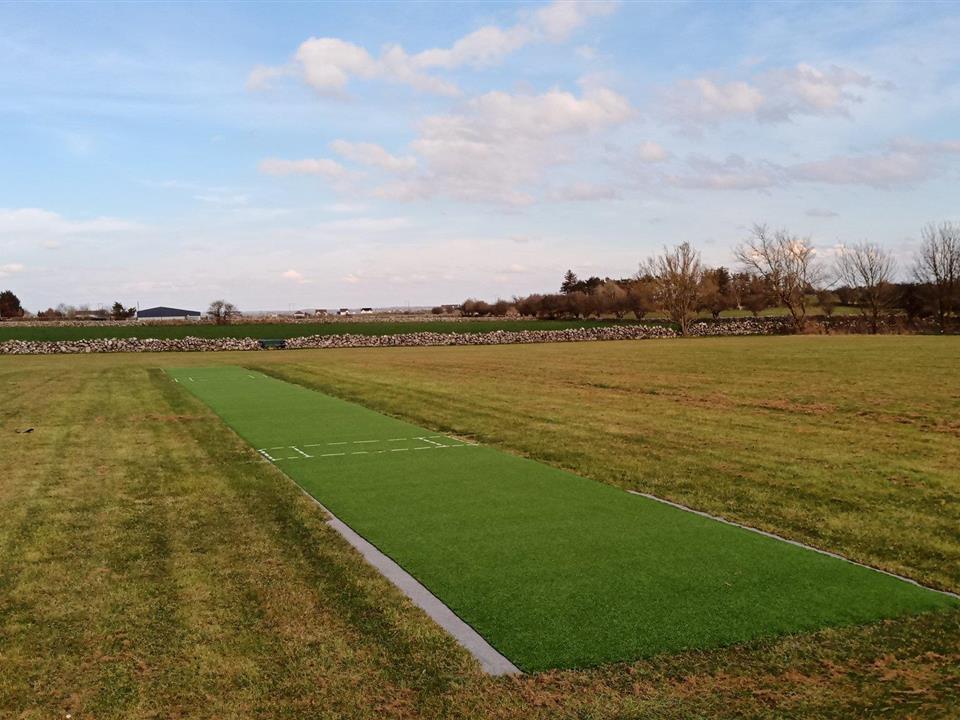 Super Verdegrass cricket surface