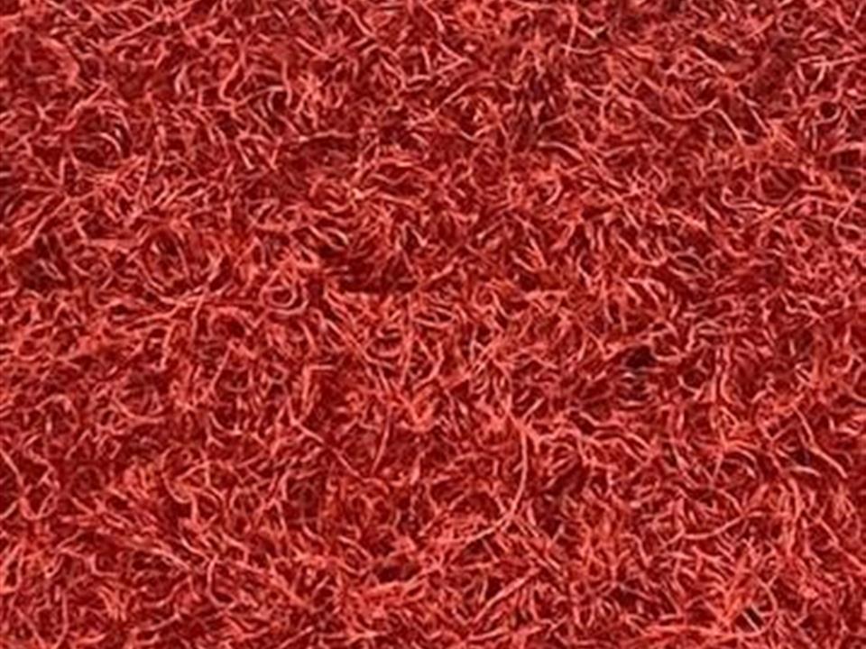 VerdeSward Burgundy