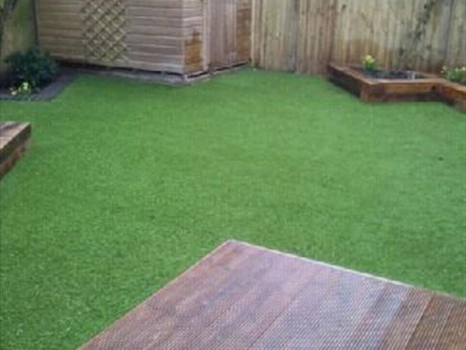 Adams Landscapes 5