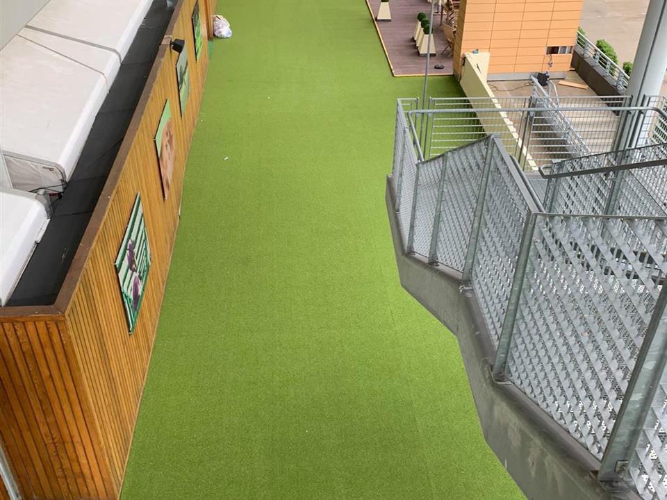 Super Verdegrass - Ascot Racecourse