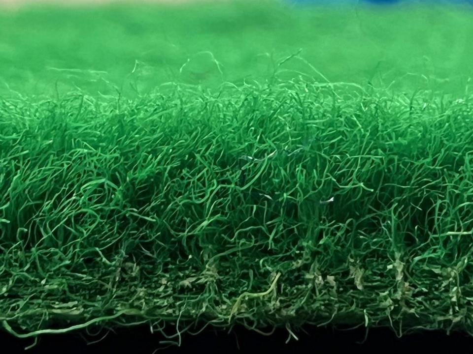 VerdeSward Green 1.50m x 4.00m side view
