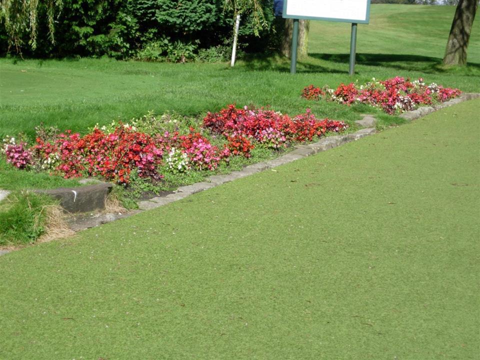 Path - Super Verdegrass 