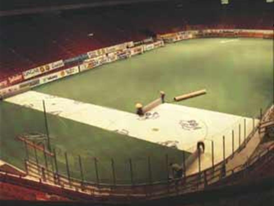 Ice Rink Cover