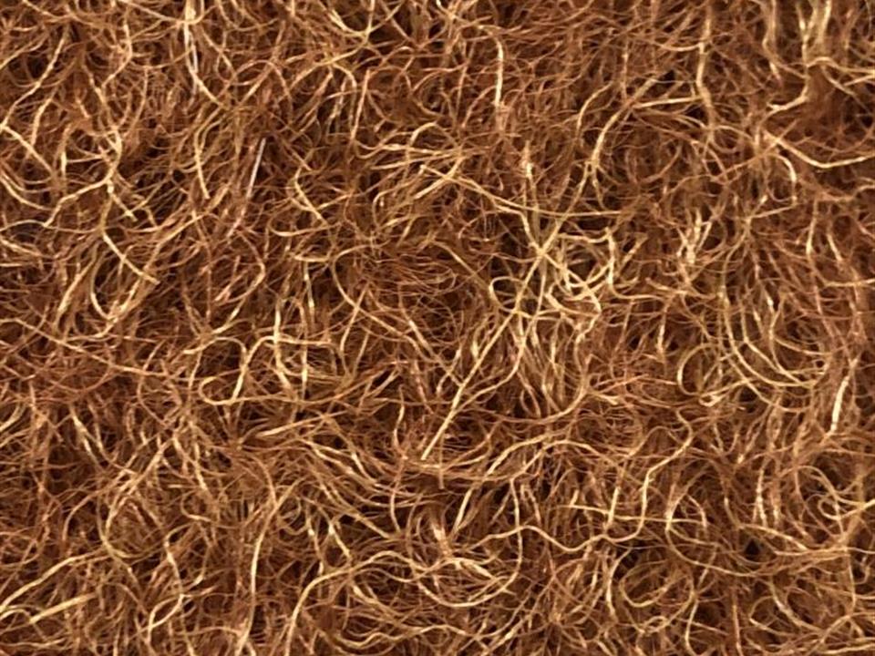 VerdeSward chestnut