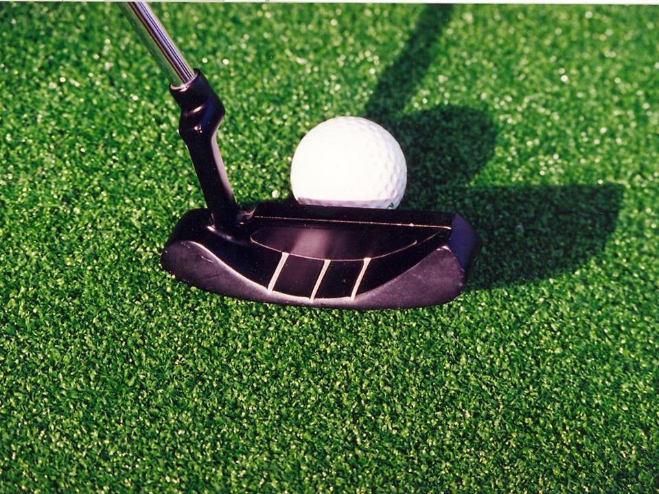 Home Putting - Verdegrass