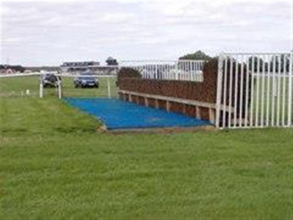 blue artificial grass used in national event