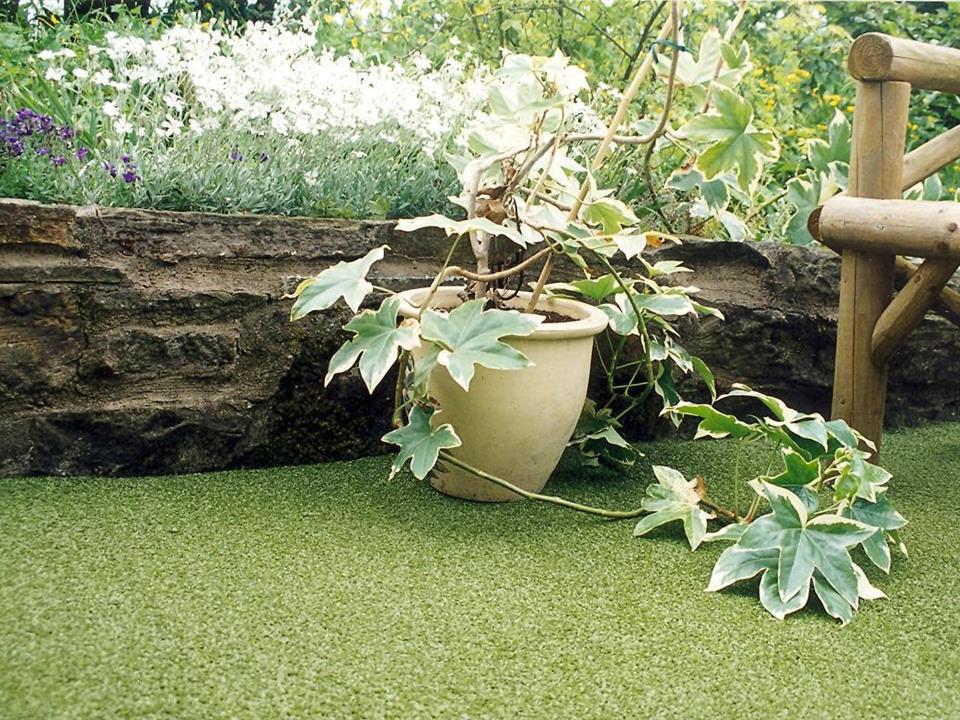 Patio - Super Verdegrass