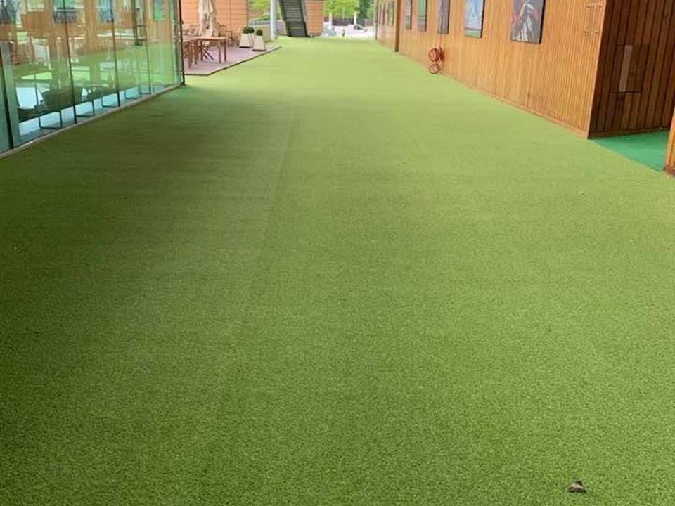 Super Verdegrass - Ascot Racecourse
