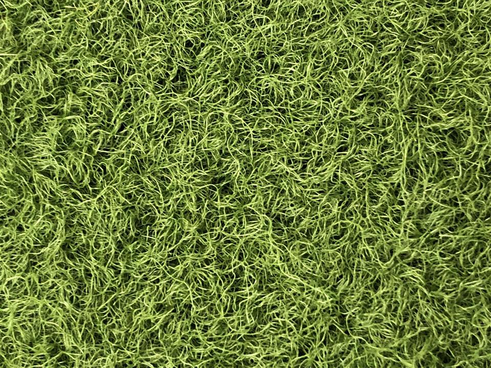 VerdeSward Olive