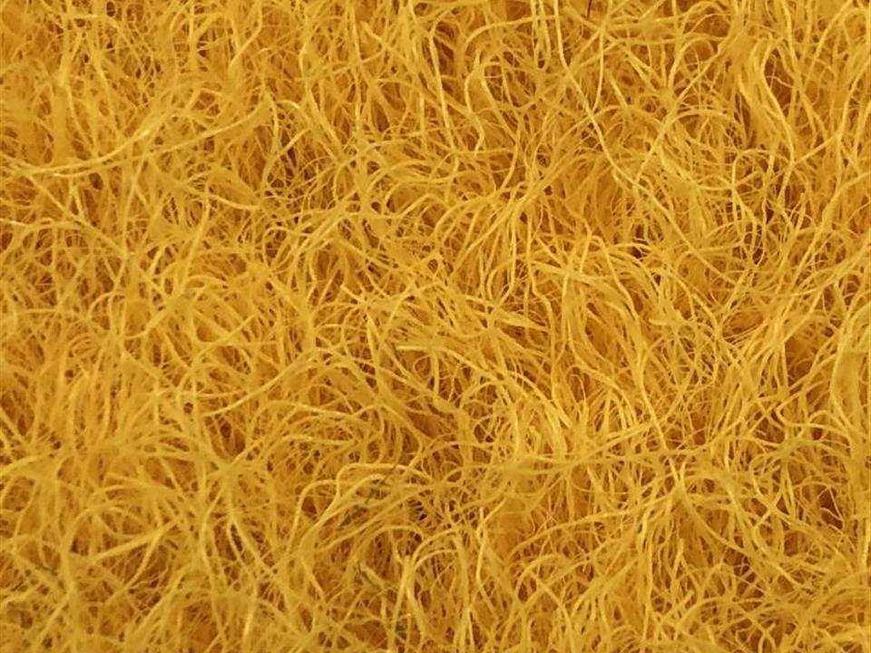 VerdeSward Yellow