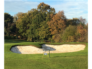 Verde Bunker Liner 2024