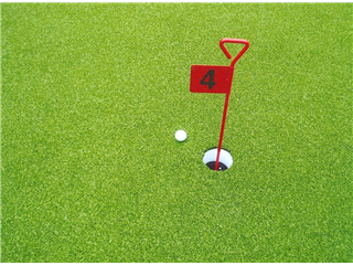 Verde Golf & Sports Brochure