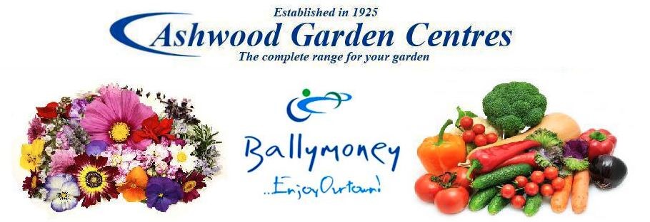 Ballymoney Logo