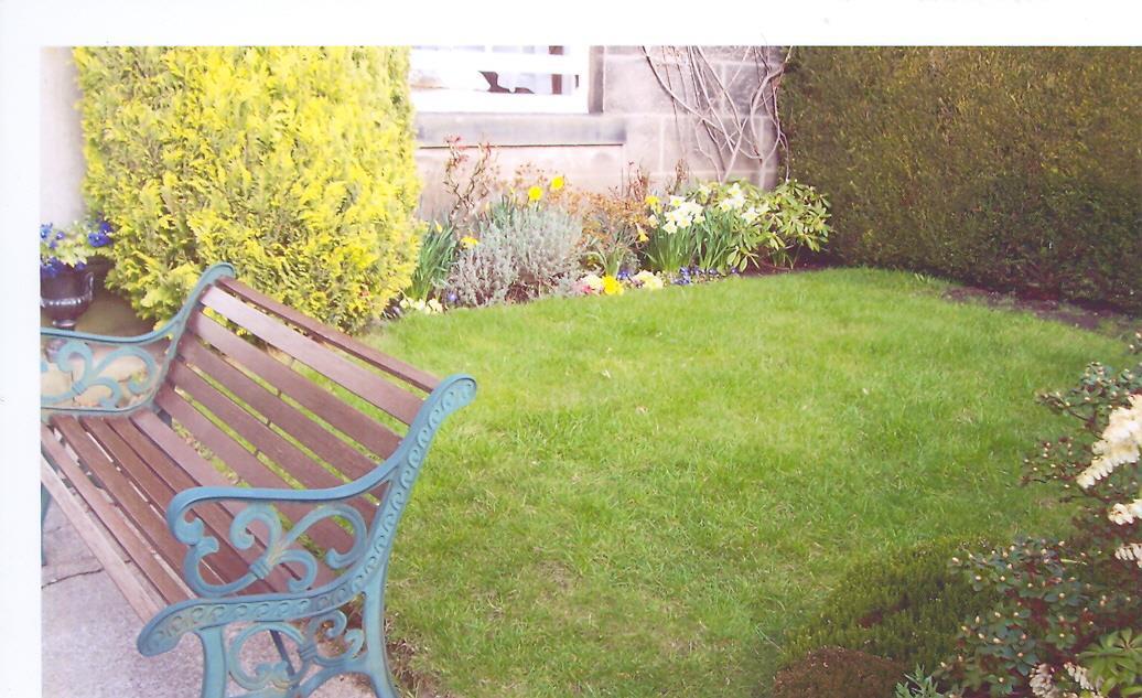 Before Artificial Grass