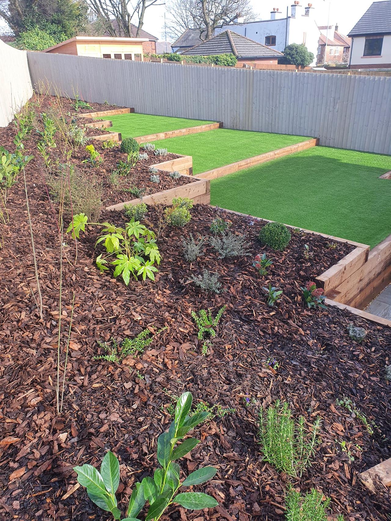 Ash Landscapes â€“ Verdelawn Lite Installed
